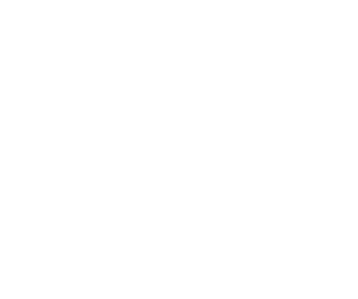 Maanshanti logo